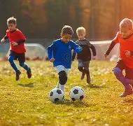 凤凰彩票,产品,凤凰彩票官网,凤凰彩票官网,凤凰彩票品牌,凤凰彩票精彩