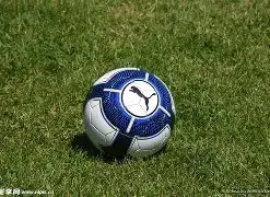 凤凰彩票,产品,凤凰彩票官网,凤凰彩票官网,凤凰彩票品牌,凤凰彩票精彩