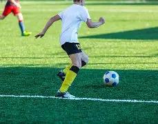 凤凰彩票,产品,凤凰彩票官网,凤凰彩票官网,凤凰彩票品牌,凤凰彩票精彩