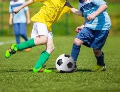 凤凰彩票,产品,凤凰彩票官网,凤凰彩票官网,凤凰彩票品牌,凤凰彩票精彩