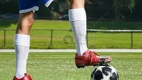 凤凰彩票 产品 125309 60d