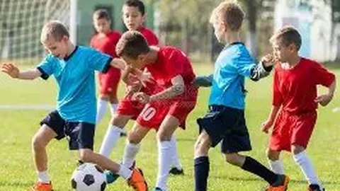 凤凰彩票 资讯 094815 n0z